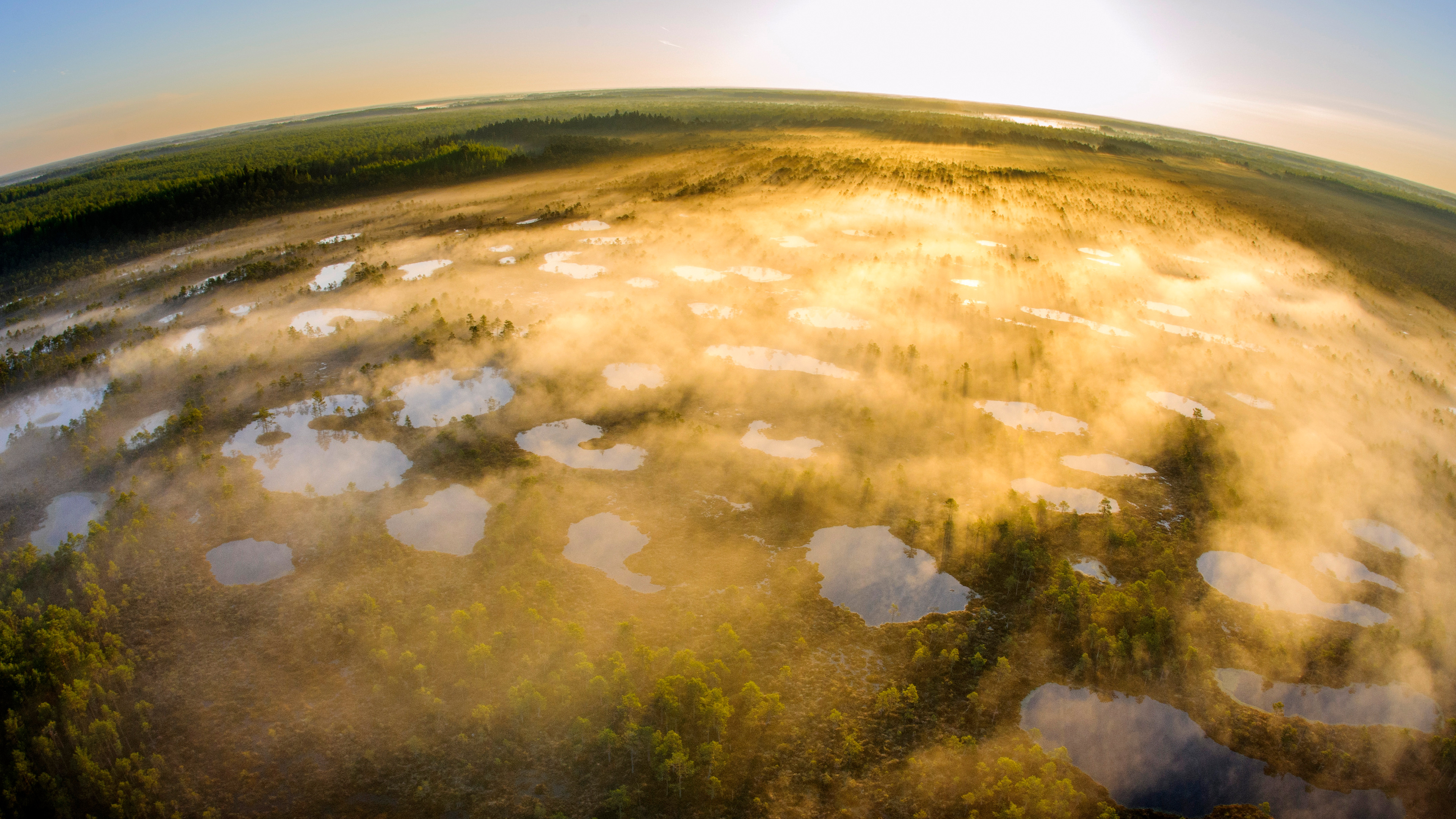阿拉姆-佩德亚自然保护区,塔尔图县,爱沙尼亚 (© Sven Zacek/Nature Picture Library) 阿拉姆-佩德亚自然保护区,塔尔图县,爱沙尼亚 (© Sven Zacek/Nature Picture Library)