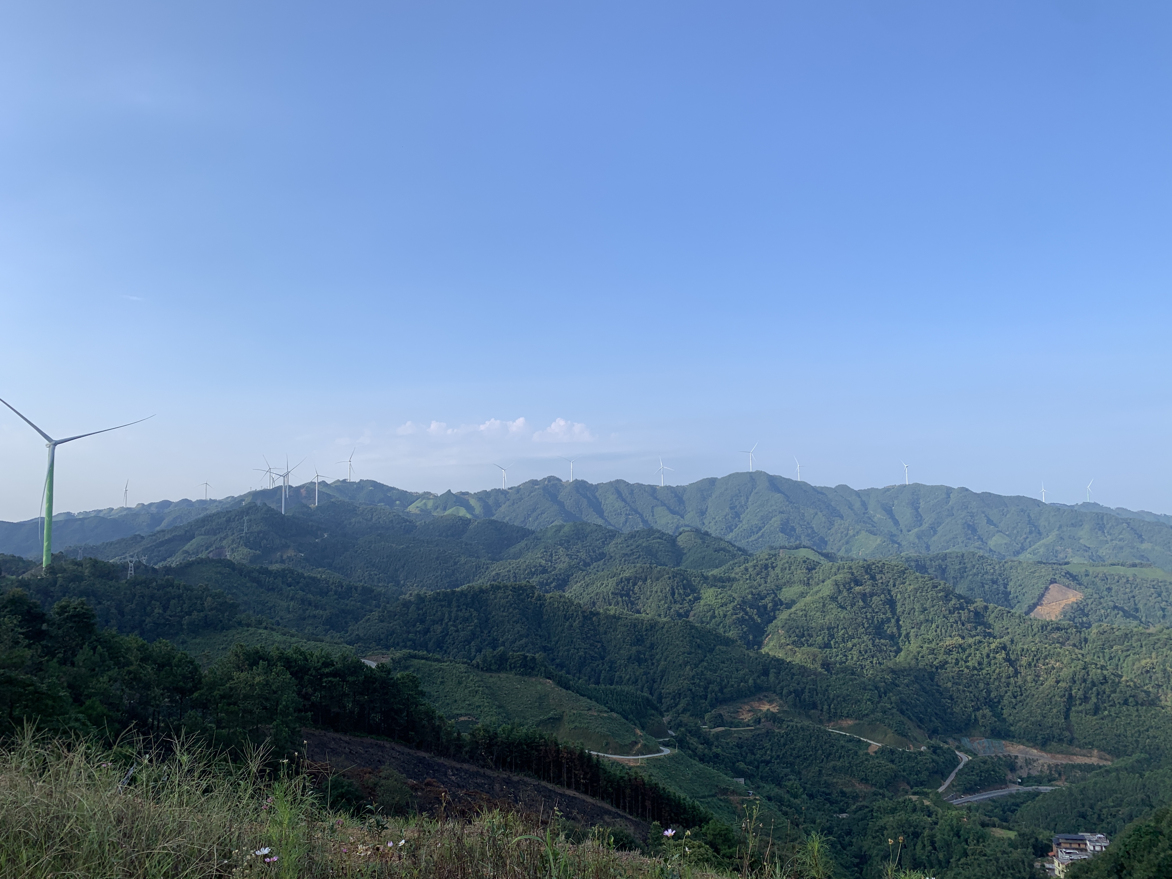 A9BDBEC7-15B6-45C8-B1DF-A076169D0882.jpeg