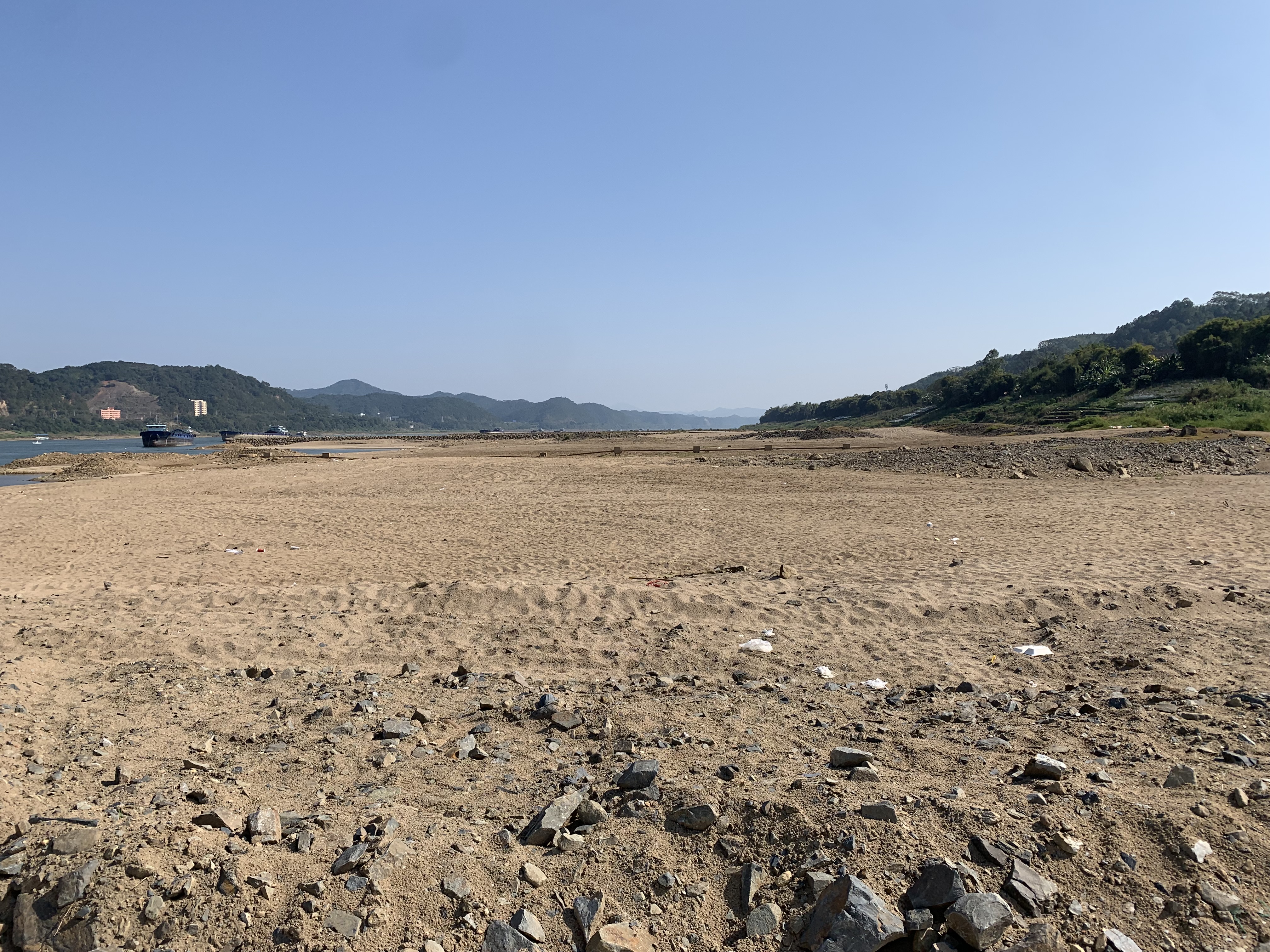 IMG_2271.jpeg