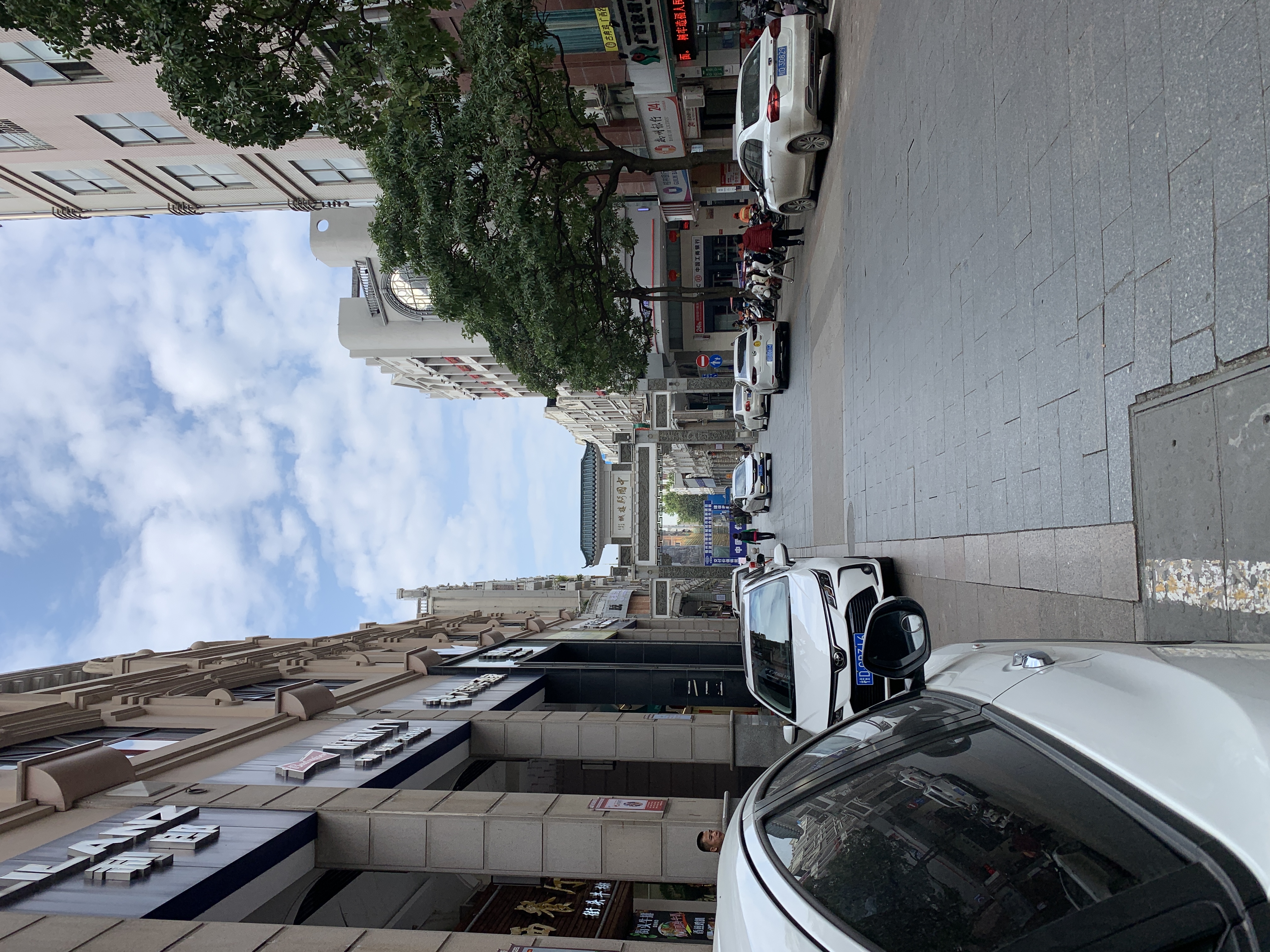 IMG_2321.jpeg