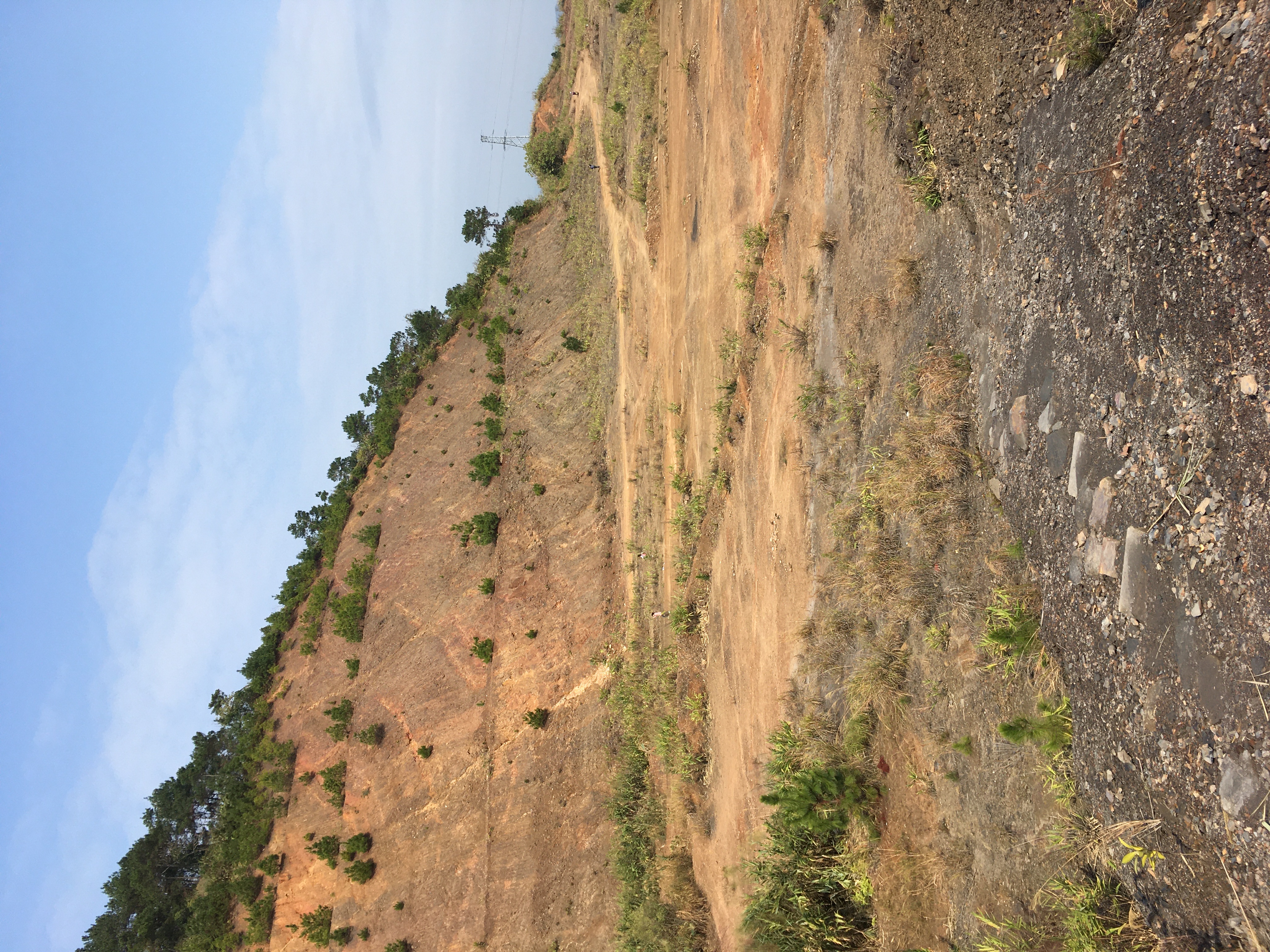AA4C4077-25BA-4135-AFCB-F7DB82485EDD.jpeg