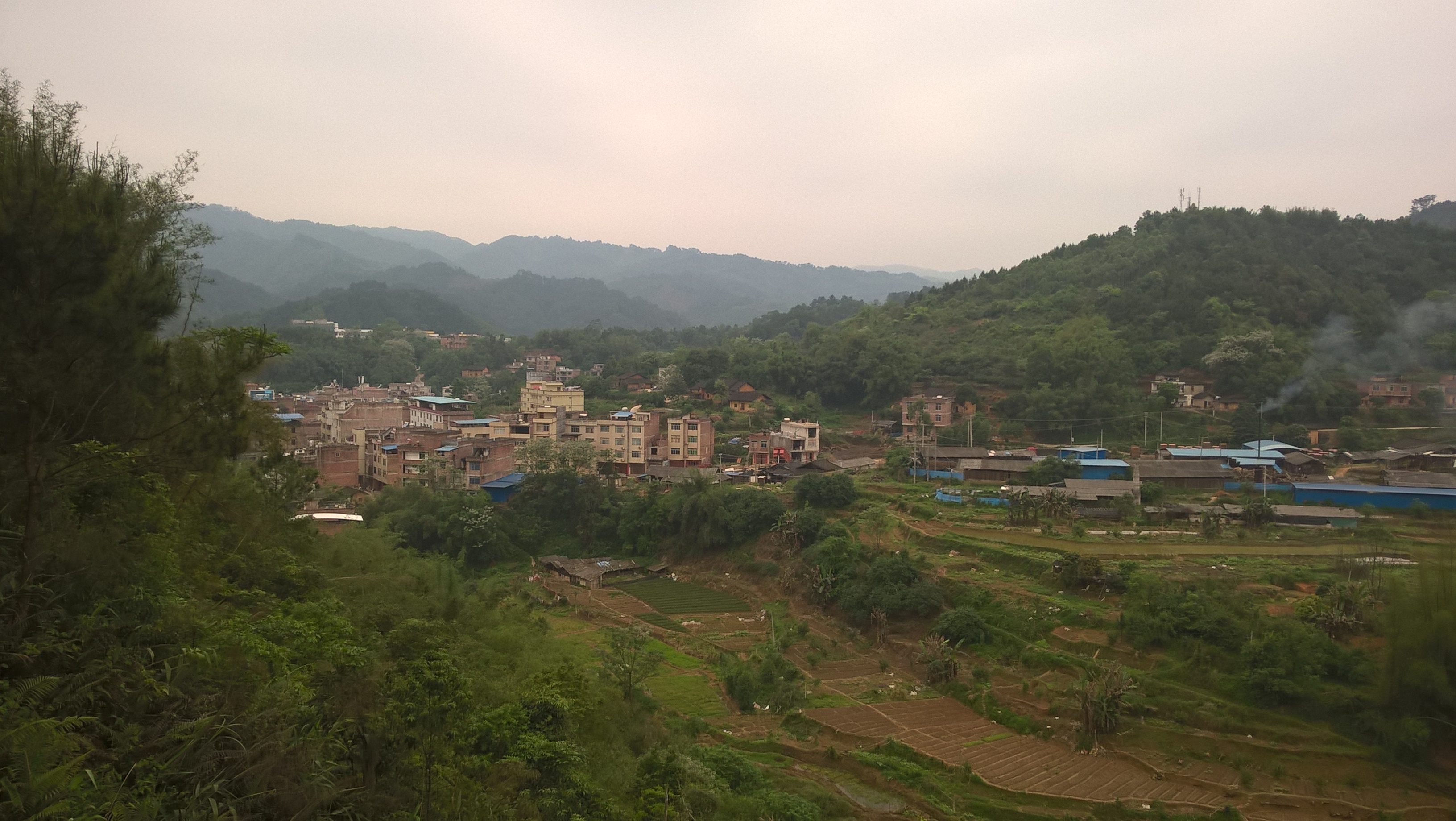 WP_20160414_08_44_20_Pro.jpg