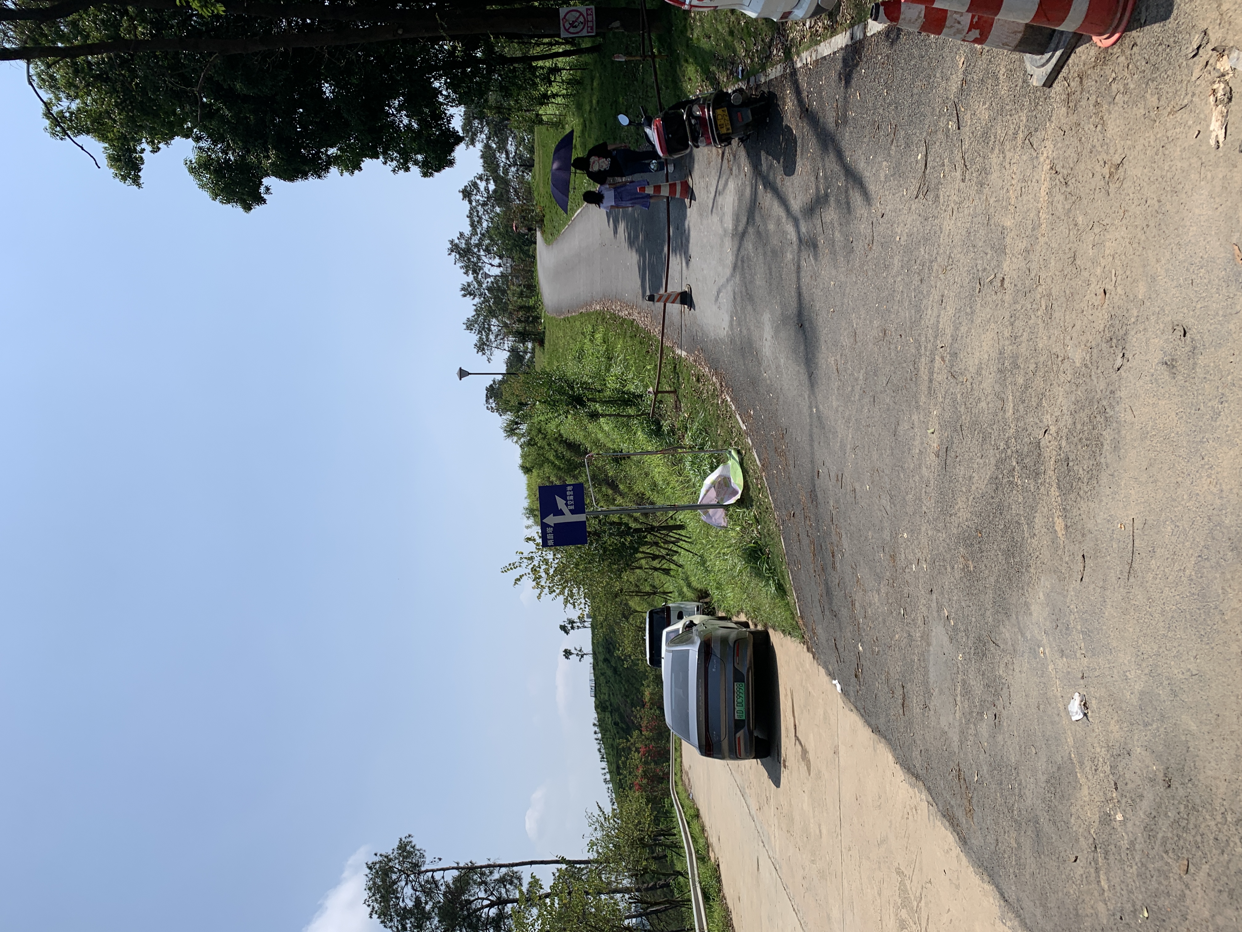 IMG_5303.jpeg IMG_5303.jpeg