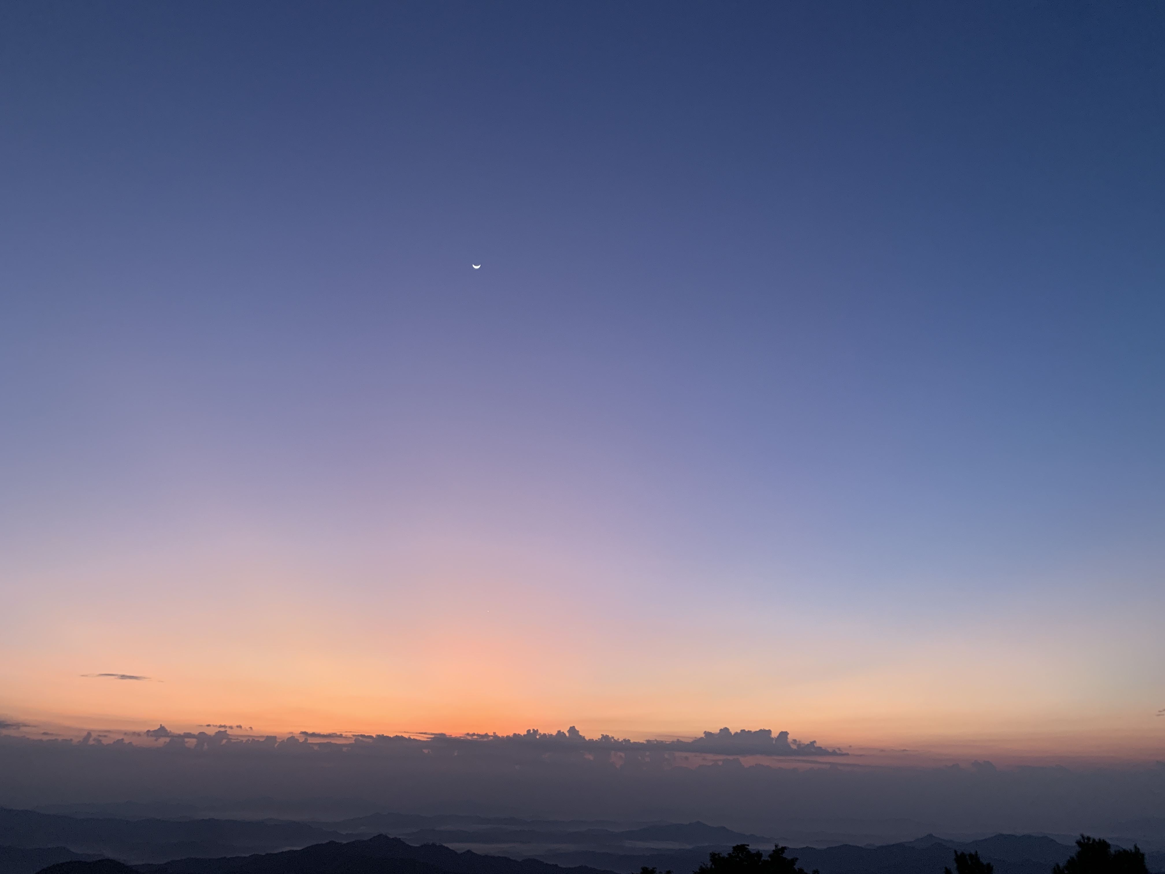 34DA94E9-B22C-46CB-B1D8-CCD88A245A4D.jpeg