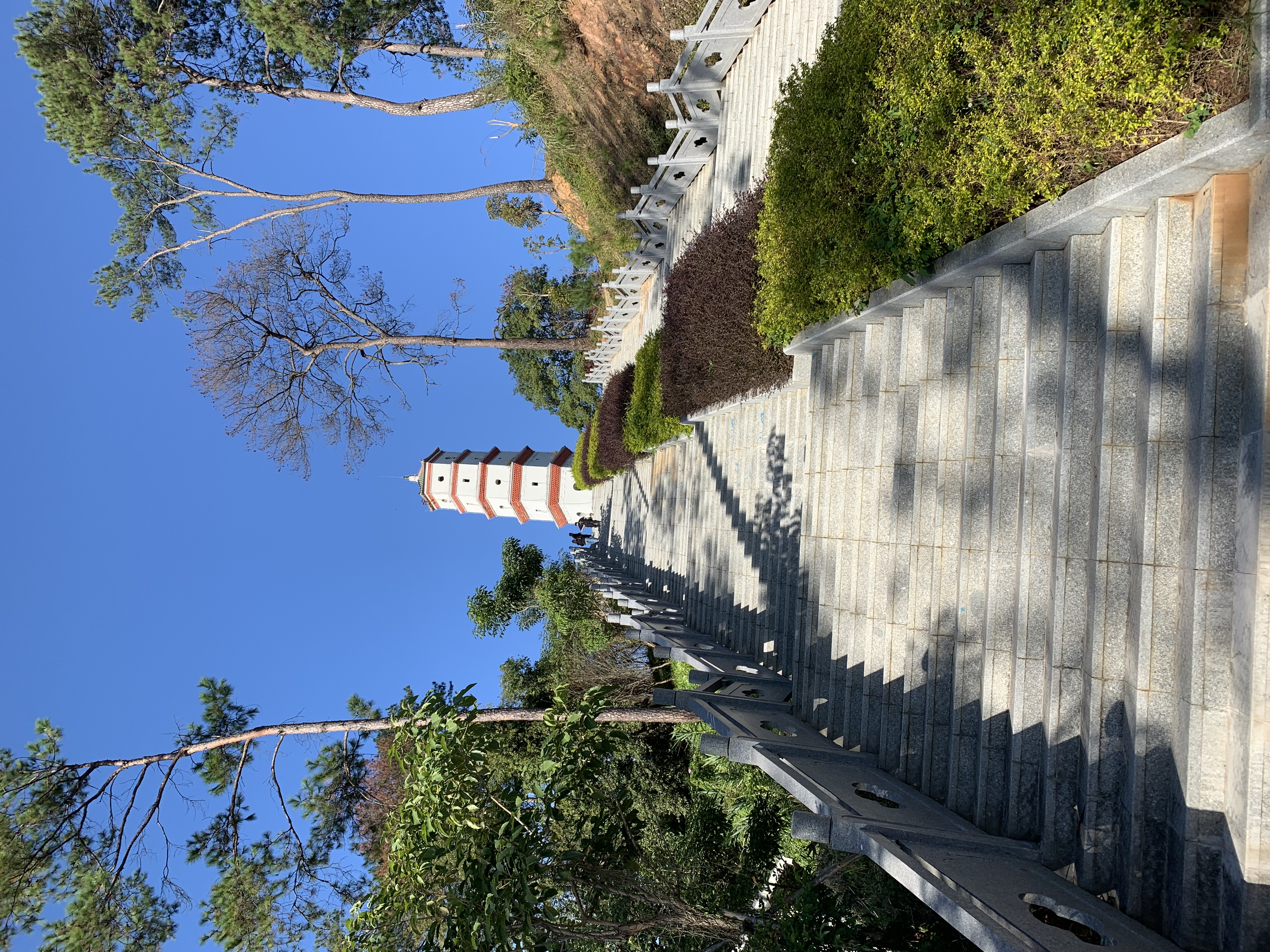 IMG_1017.jpeg