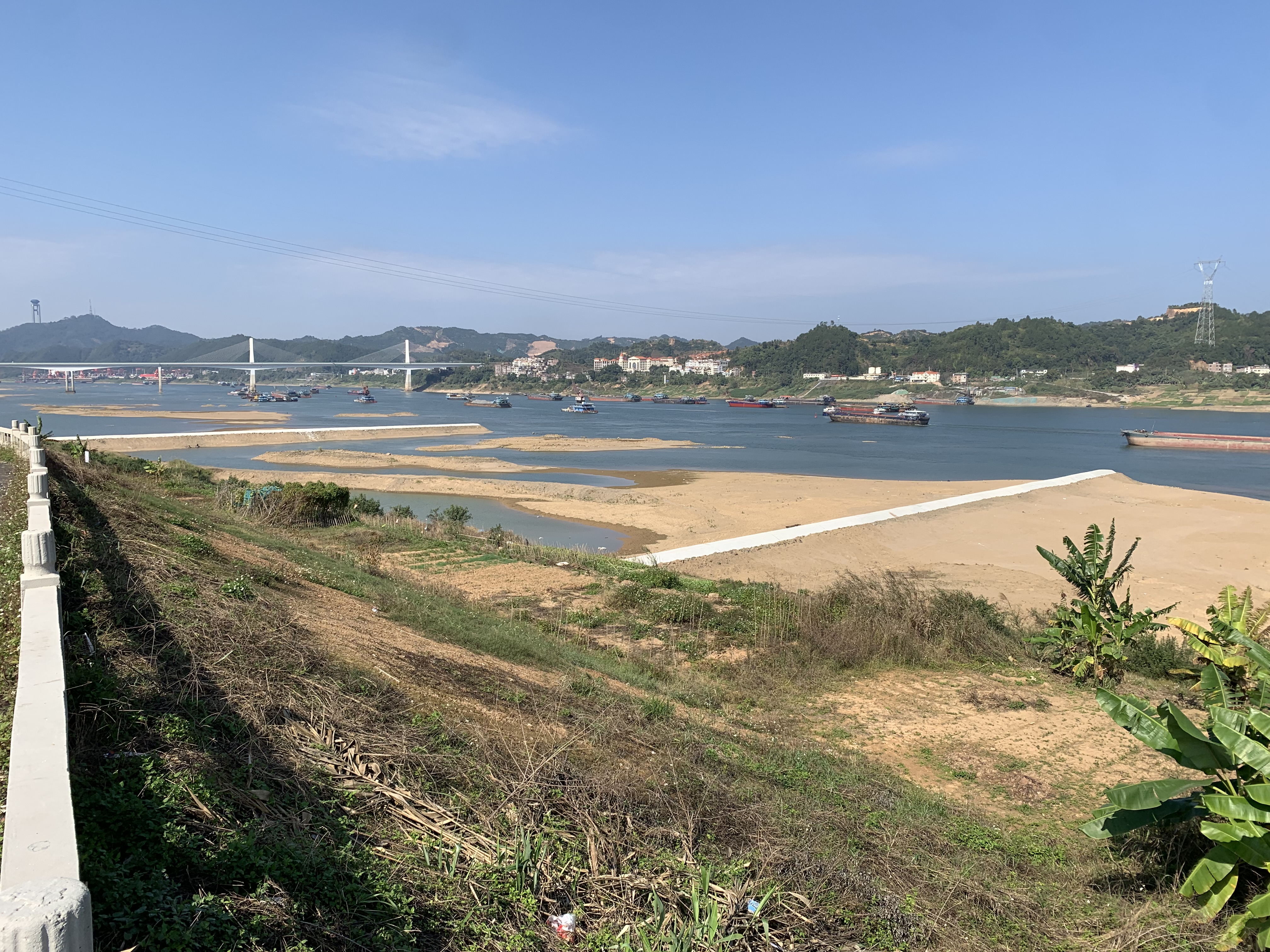 IMG_2269.jpeg