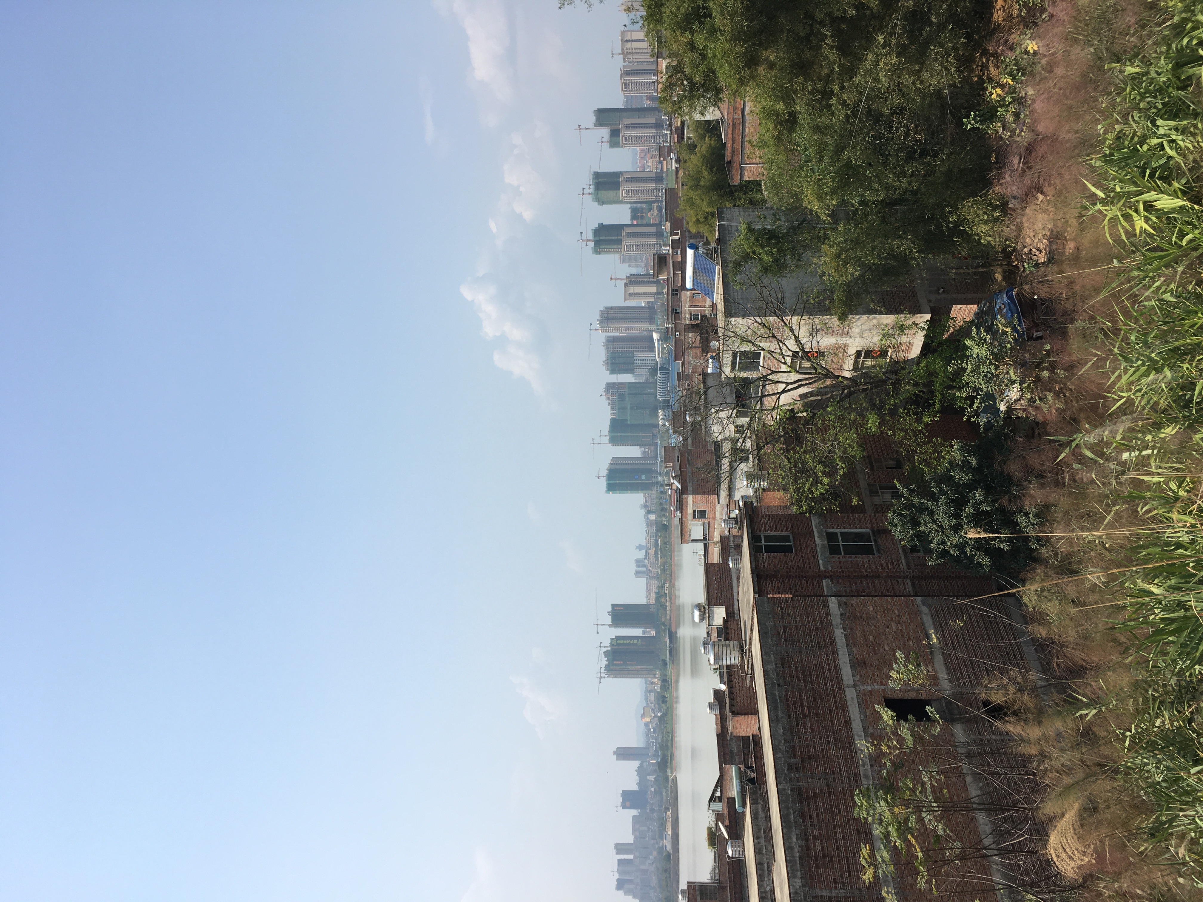 91BDB62D-37EF-48BA-AD03-371E2825D0EA.jpeg