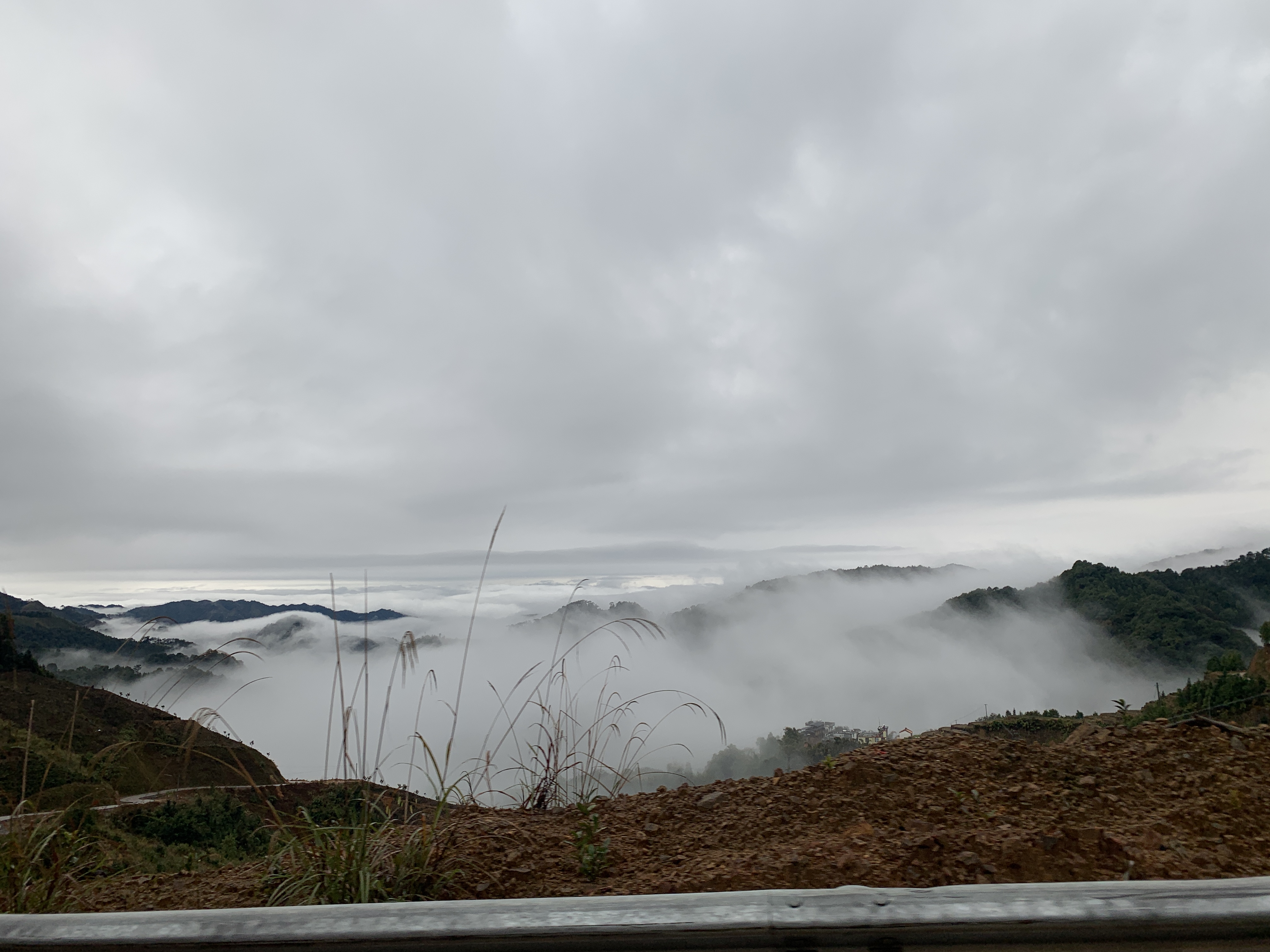 E3305C46-33EA-4E30-9084-835789C4827A.jpeg