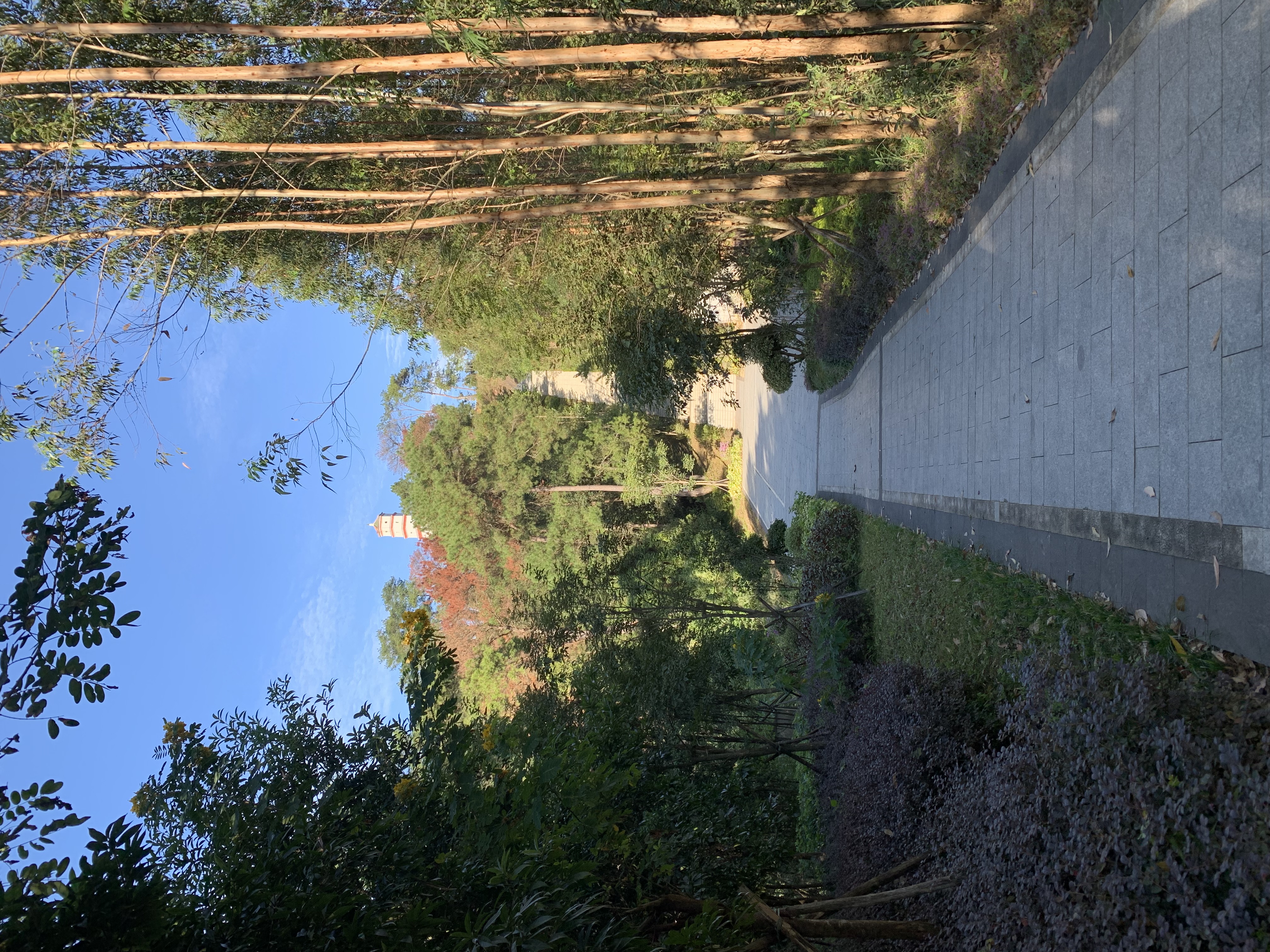 IMG_1033.jpeg
