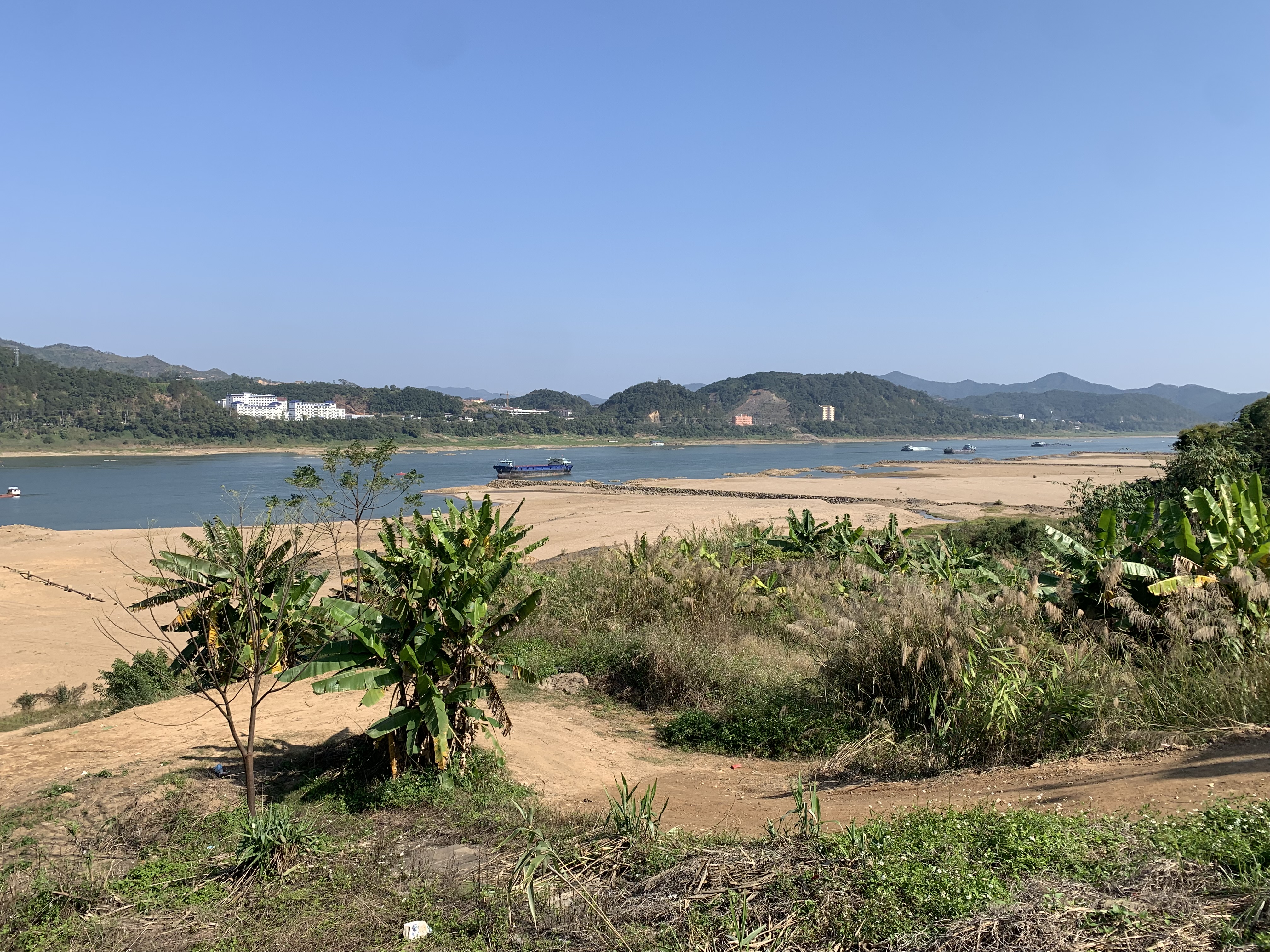 IMG_2268.jpeg